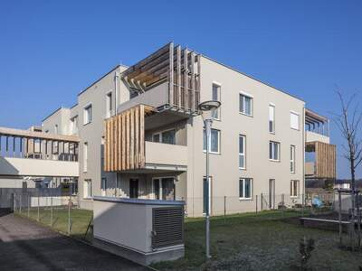 Terrassenwohnung mieten in 2231 Strasshof (Bild 2)