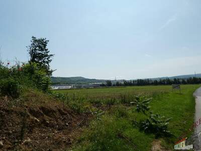 Einfamilienhaus kaufen in 7210 Mattersburg (Bild 3)