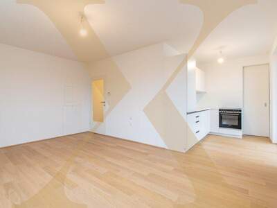 Terrassenwohnung mieten in 4020 Linz (Bild 1)