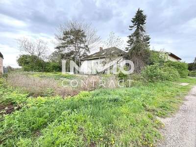 Grundstück kaufen in 2011 Sierndorf