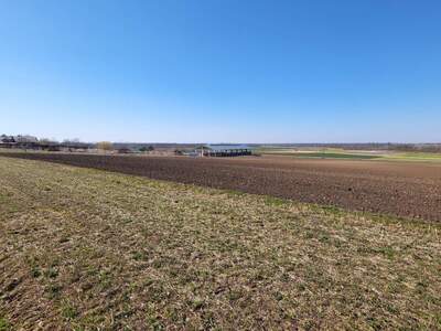 Grundstück kaufen in 2293 Marchegg