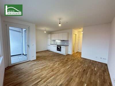Terrassenwohnung mieten in 1160 Wien (Bild 1)