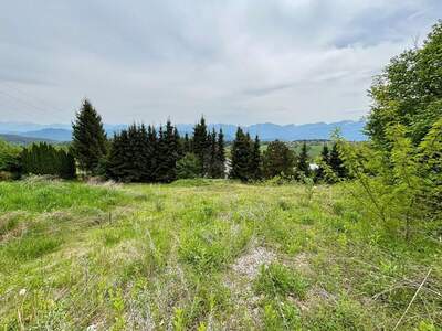 Grundstück kaufen in 9220 Velden (Bild 1)