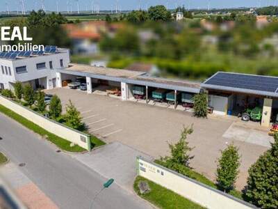 Lager kaufen in 2471 Pachfurth (Bild 2)