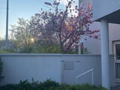 Wohnung mit Balkon mieten in 1160 Wien (Bild 5)