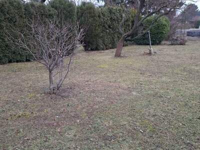 Grundstück kaufen in 1210 Wien