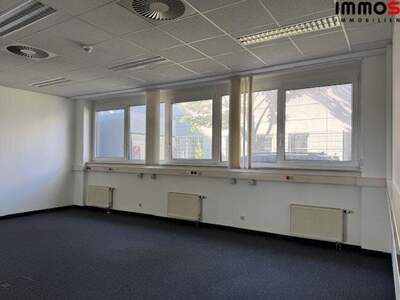 Gewerbeobjekt mieten in 4020 Linz (Bild 4)