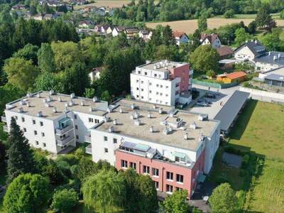 Terrassenwohnung mieten in 2851 Krumbach (Bild 2)