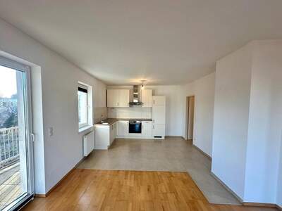 Terrassenwohnung mieten in 2231 Strasshof (Bild 4)