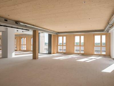 Gewerbeobjekt mieten in 1220 Wien (Bild 4)