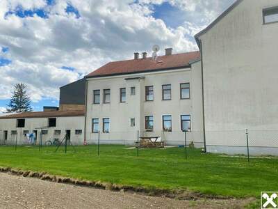 Anlageobjekt kaufen in 2493 Eggendorf (Bild 1)