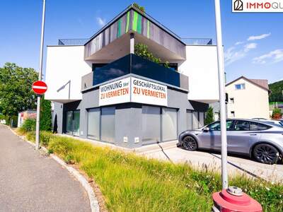 Gewerbeobjekt mieten in 4560 Kirchdorf (Bild 3)