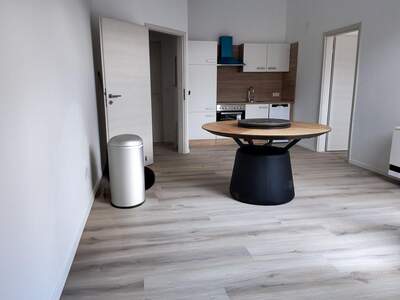 Anlageobjekt kaufen in 5101 Bergheim (Bild 4)