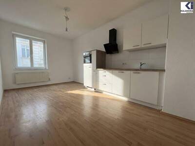 Wohnung mieten in 1010 Wien