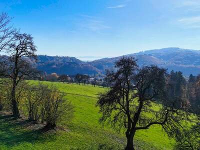 Grundstück kaufen in 4048 Puchenau