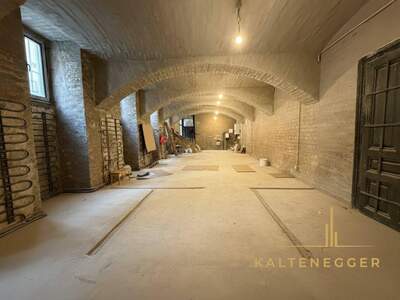 Gewerbeobjekt kaufen in 1090 Wien