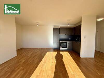 Terrassenwohnung mieten in 1100 Wien (Bild 2)