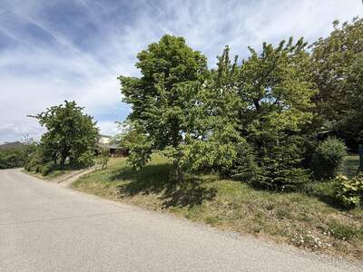 Grundstück kaufen in 4224 Wartberg (Bild 5)
