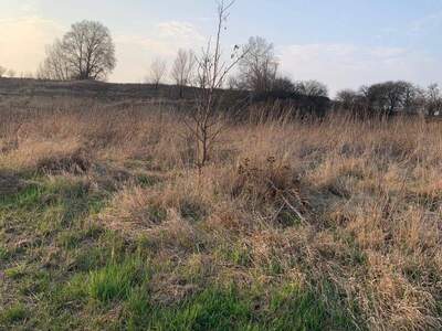 Gewerbeobjekt kaufen in 2002 Roseldorf