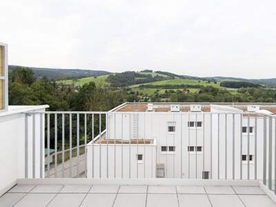 Wohnung mieten in 3033 Altlengbach