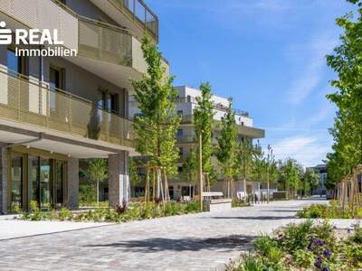 Terrassenwohnung kaufen in 1210 Wien (Bild 5)