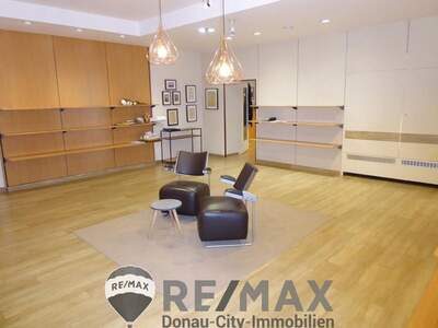 Gewerbeobjekt mieten in 2340 Mödling (Bild 4)