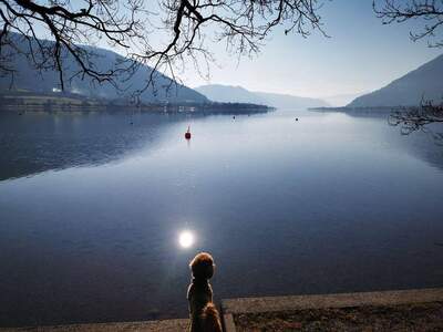 Wohnung provisionsfrei kaufen in 9552 Steindorf