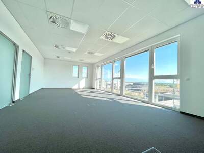 Gewerbeobjekt mieten in 1220 Wien (Bild 5)