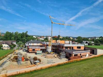 Gewerbeobjekt mieten in 4910 Ried (Bild 2)