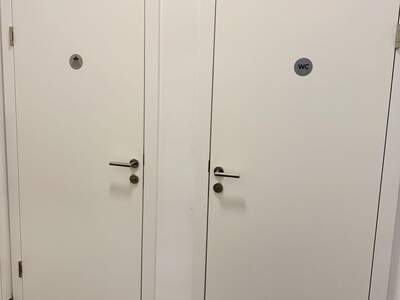 Gewerbeobjekt mieten in 4201 Gramastetten (Bild 4)