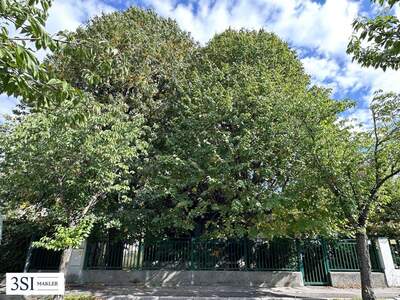 Grundstück kaufen in 1230 Wien