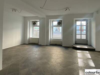 Gewerbeobjekt mieten in 1060 Wien (Bild 2)
