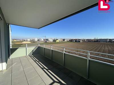 Wohnung mit Balkon kaufen in 4481 Asten (Bild 4)