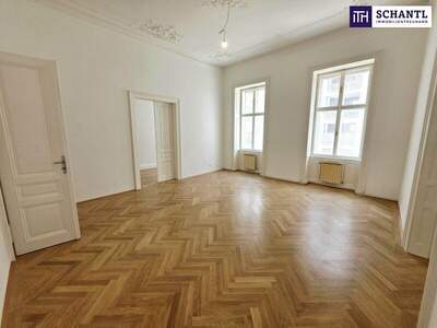 Terrassenwohnung mieten in 1090 Wien (Bild 5)
