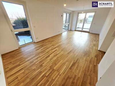 Terrassenwohnung kaufen in 1220 Wien (Bild 2)