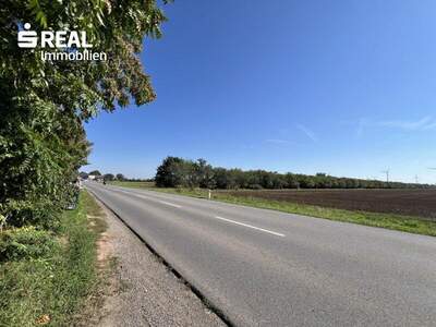 Grundstück kaufen in 2230 Gänserndorf (Bild 2)