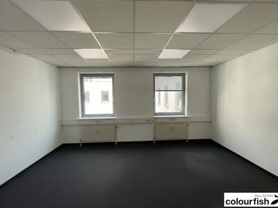 Gewerbeobjekt mieten in 1060 Wien (Bild 4)