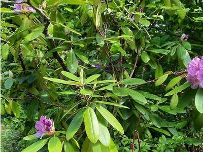 Grundstück kaufen in 3500 Krems (Bild 4)