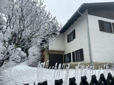 Haus kaufen in 8684 Spital