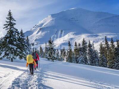 Grundstück kaufen in 9546 Aigen
