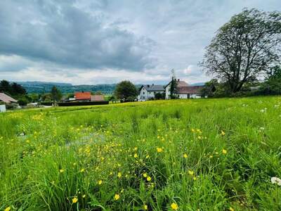 Grundstück kaufen in 9162 Ferlach