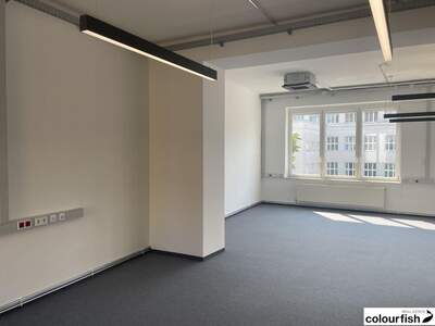 Gewerbeobjekt mieten in 1100 Wien (Bild 3)