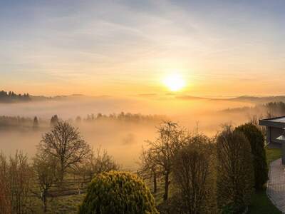 Haus kaufen in 8551 Wies (Bild 4)
