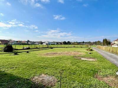 Grundstück kaufen in 8072 Fernitz (Bild 2)