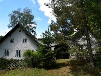Haus kaufen in 3920 Groß (Bild 5)