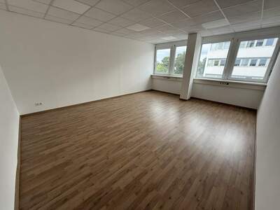 Büro / Praxis mieten in 2544 Leobersdorf (Bild 4)