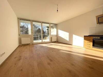 Wohnung mieten in 1130 Wien