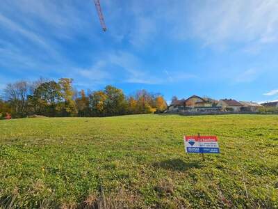 Grundstück kaufen in 4300 St. Valentin