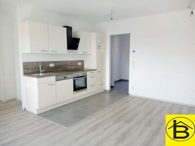 Terrassenwohnung mieten in 3382 Loosdorf (Bild 5)