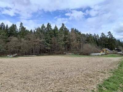 Grundstück kaufen in 9020 Klagenfurt